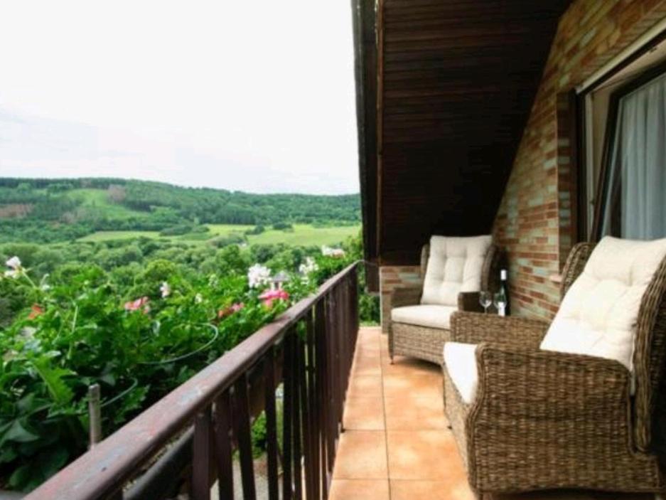 Chateau-De-La-Moselle Kinheim Екстериор снимка