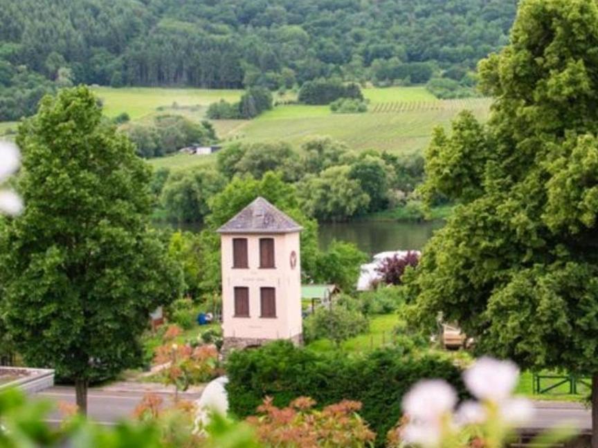 Chateau-De-La-Moselle Kinheim Екстериор снимка