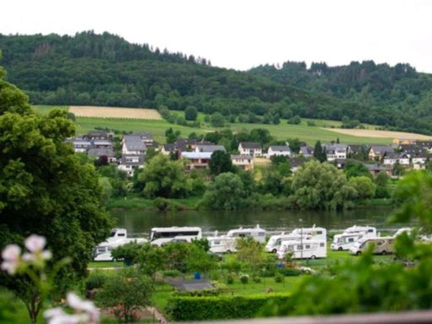 Chateau-De-La-Moselle Kinheim Екстериор снимка