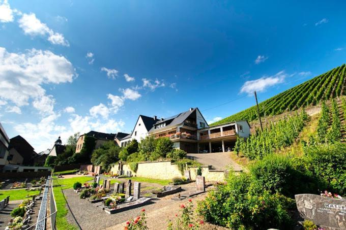 Chateau-De-La-Moselle Kinheim Екстериор снимка