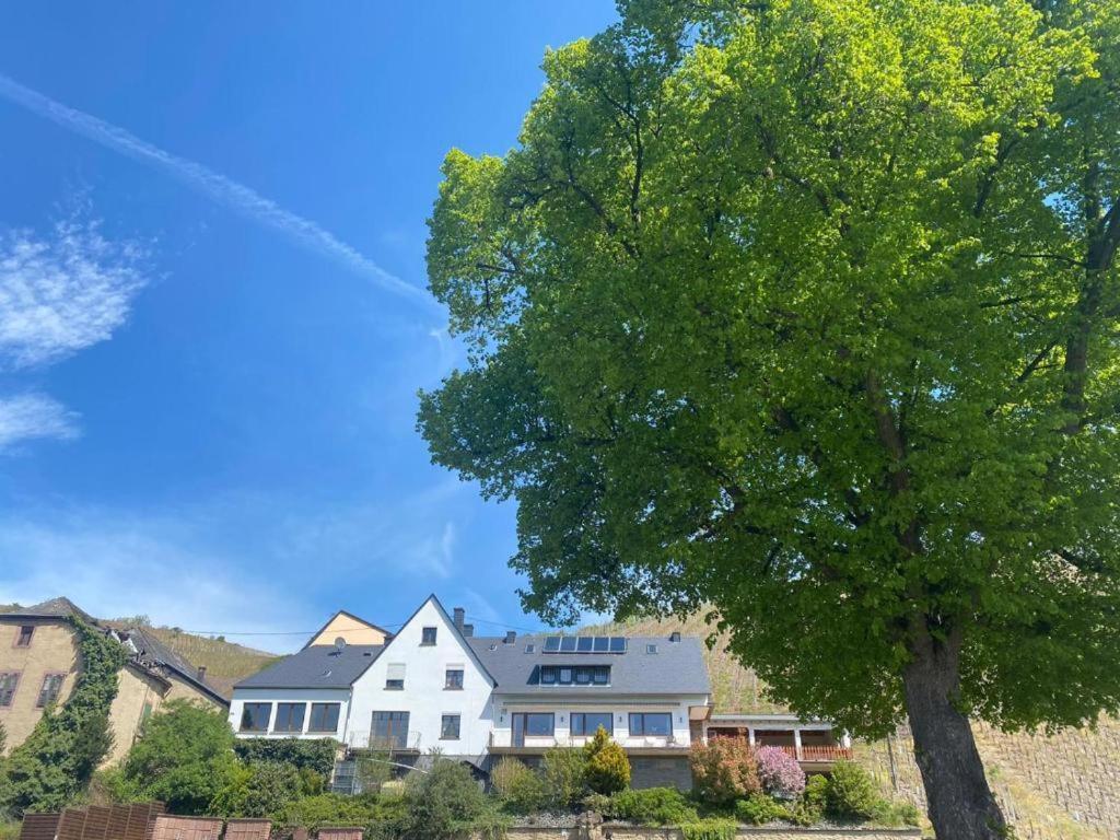 Chateau-De-La-Moselle Kinheim Екстериор снимка